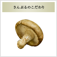 サンプルイメージ小２