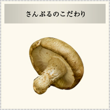 サンプルイメージ小２