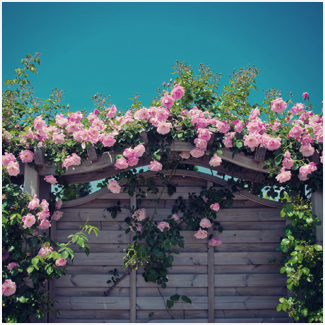 サンプルイメージ2